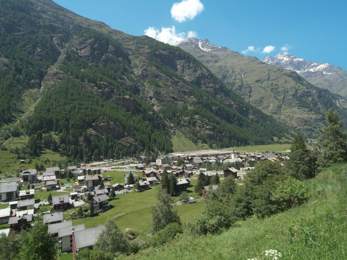 Apartment Dianthus-1 By Interhome Zermatt Eksteriør billede