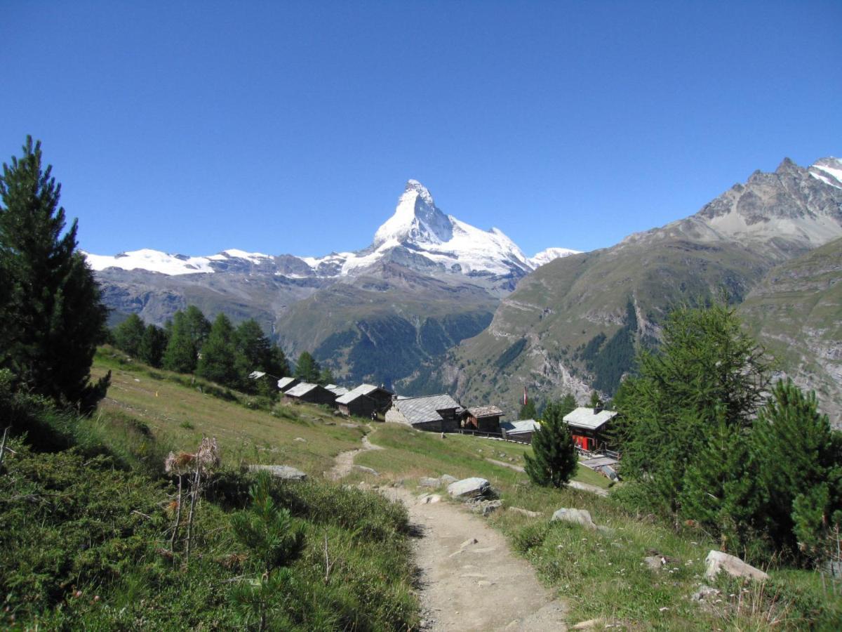 Apartment Dianthus-1 By Interhome Zermatt Eksteriør billede