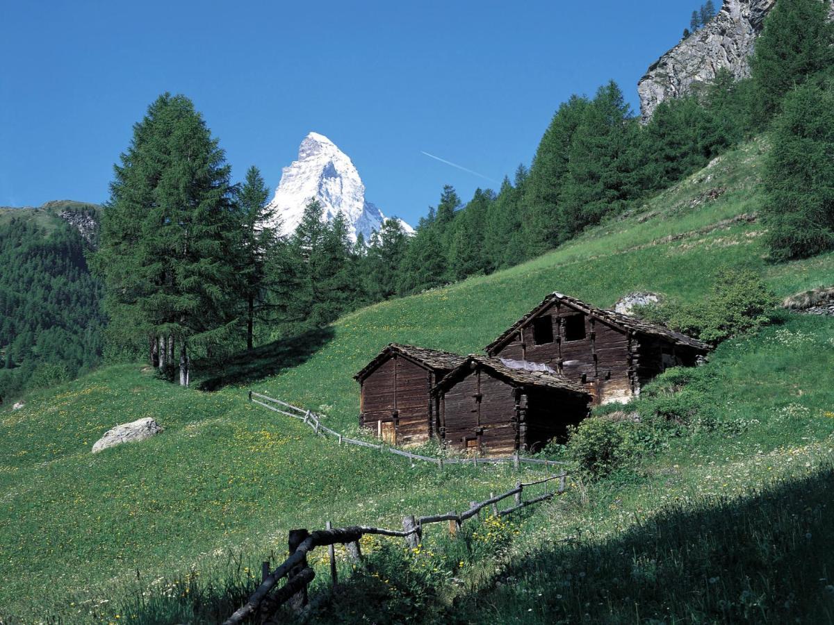 Apartment Dianthus-1 By Interhome Zermatt Eksteriør billede